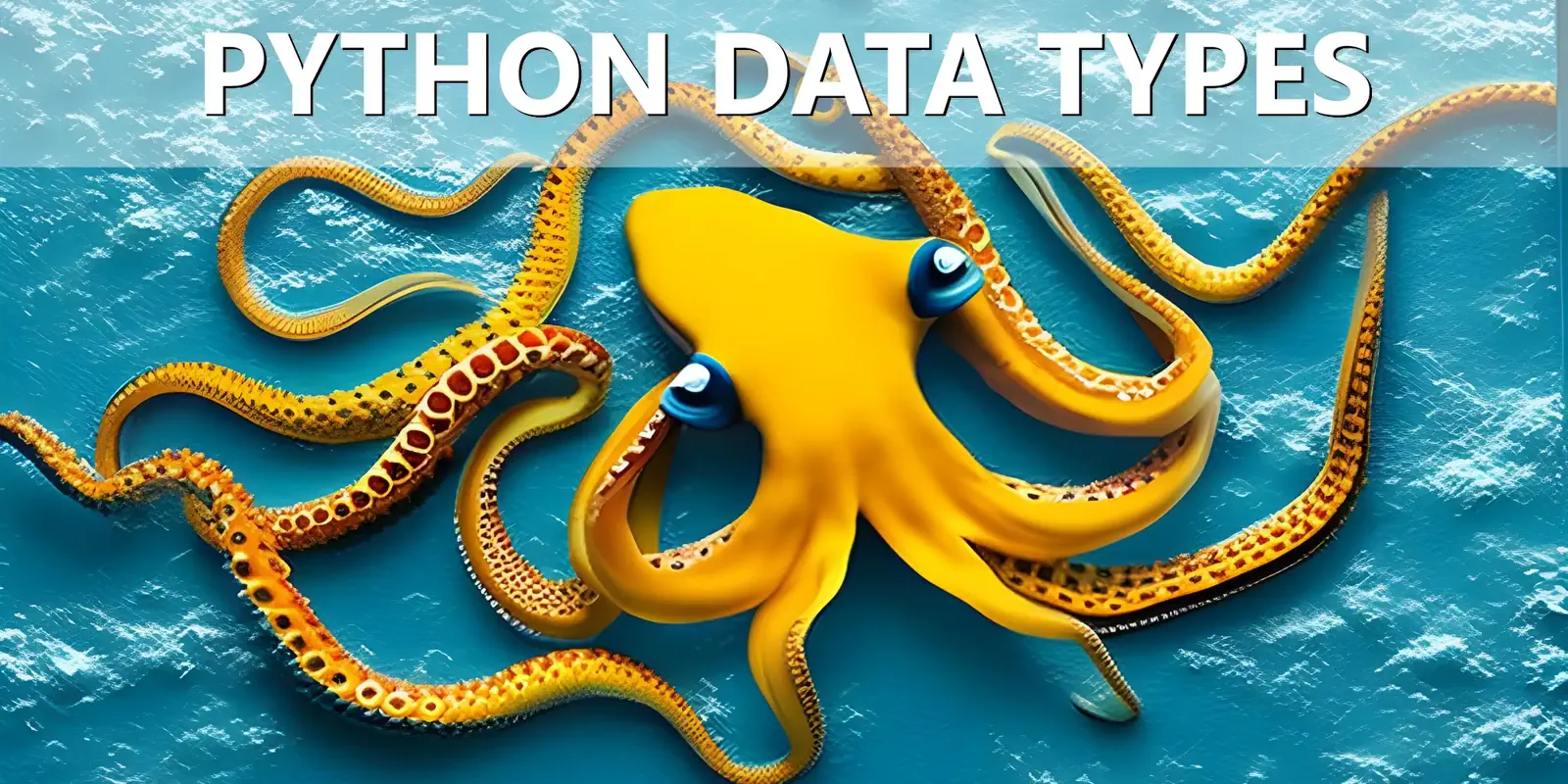 /blog/python-builtin-data-types/python-data-types.webp