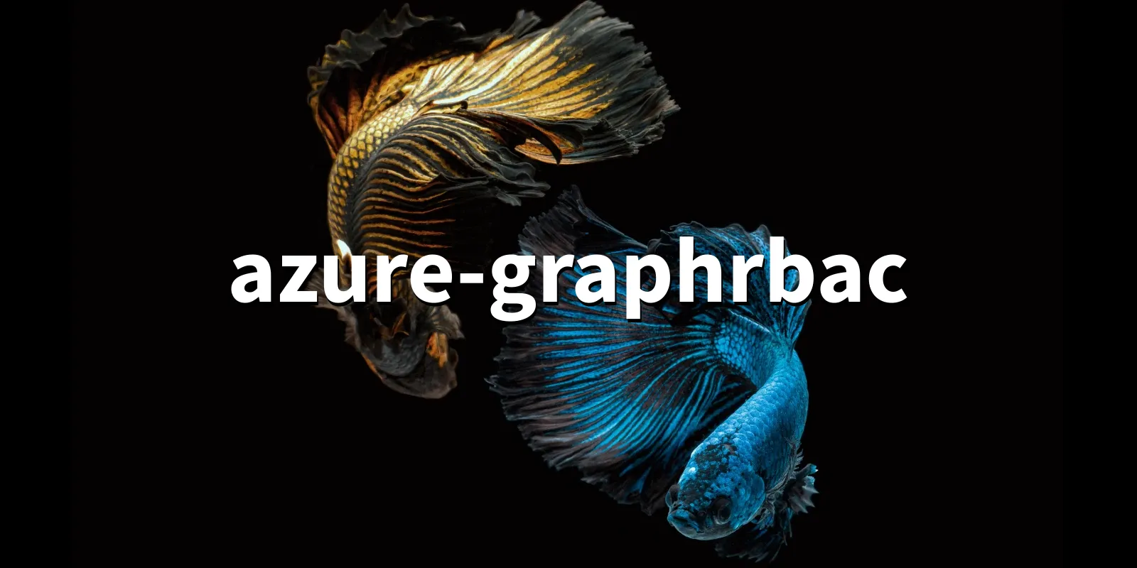 /pkg/a/azure-graphrbac/azure-graphrbac-banner.webp