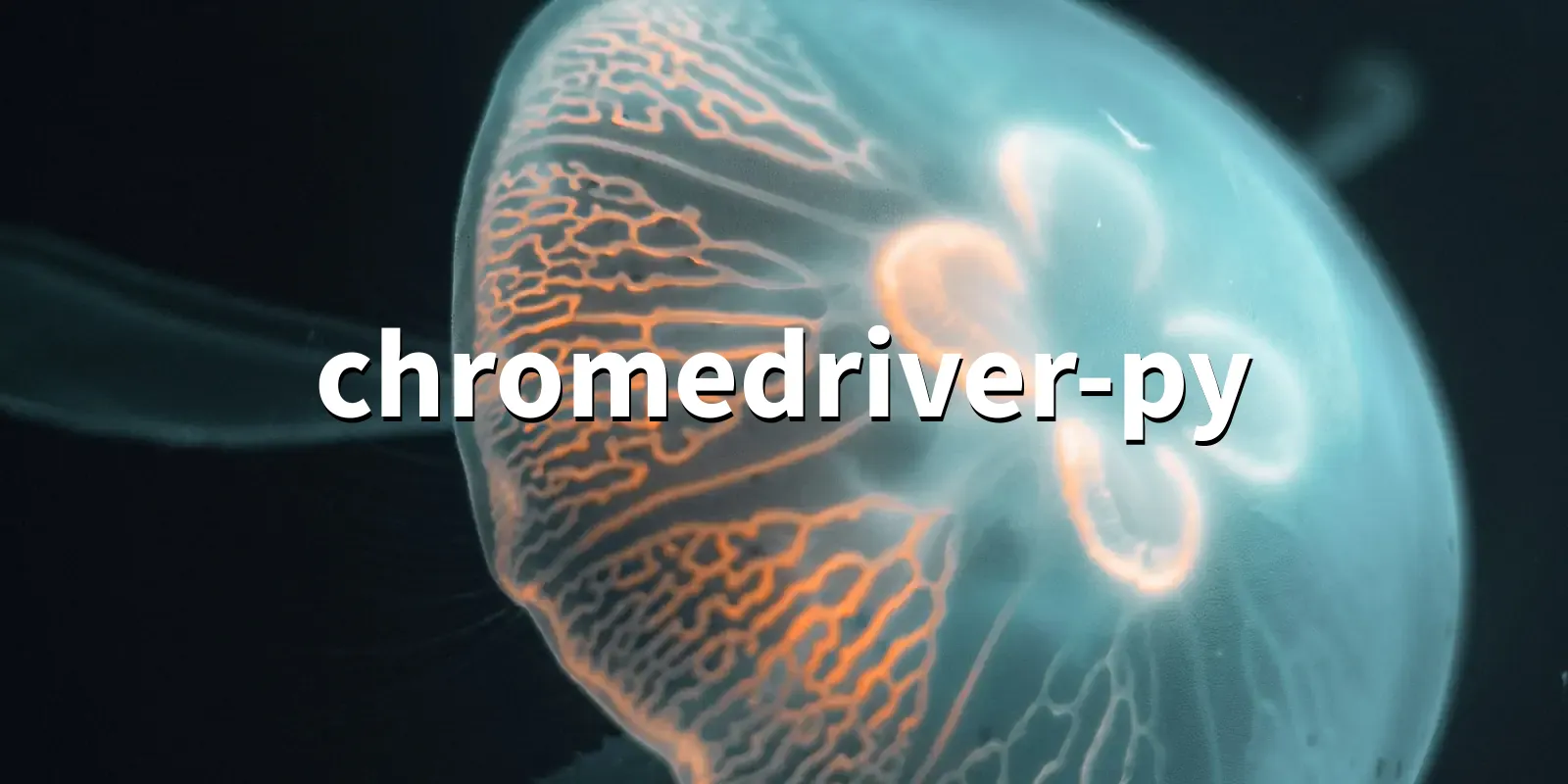 /pkg/c/chromedriver-py/chromedriver-py-banner.webp
