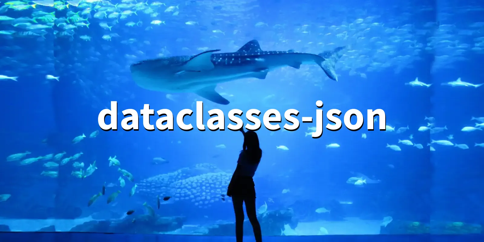 /pkg/d/dataclasses-json/dataclasses-json-banner.webp