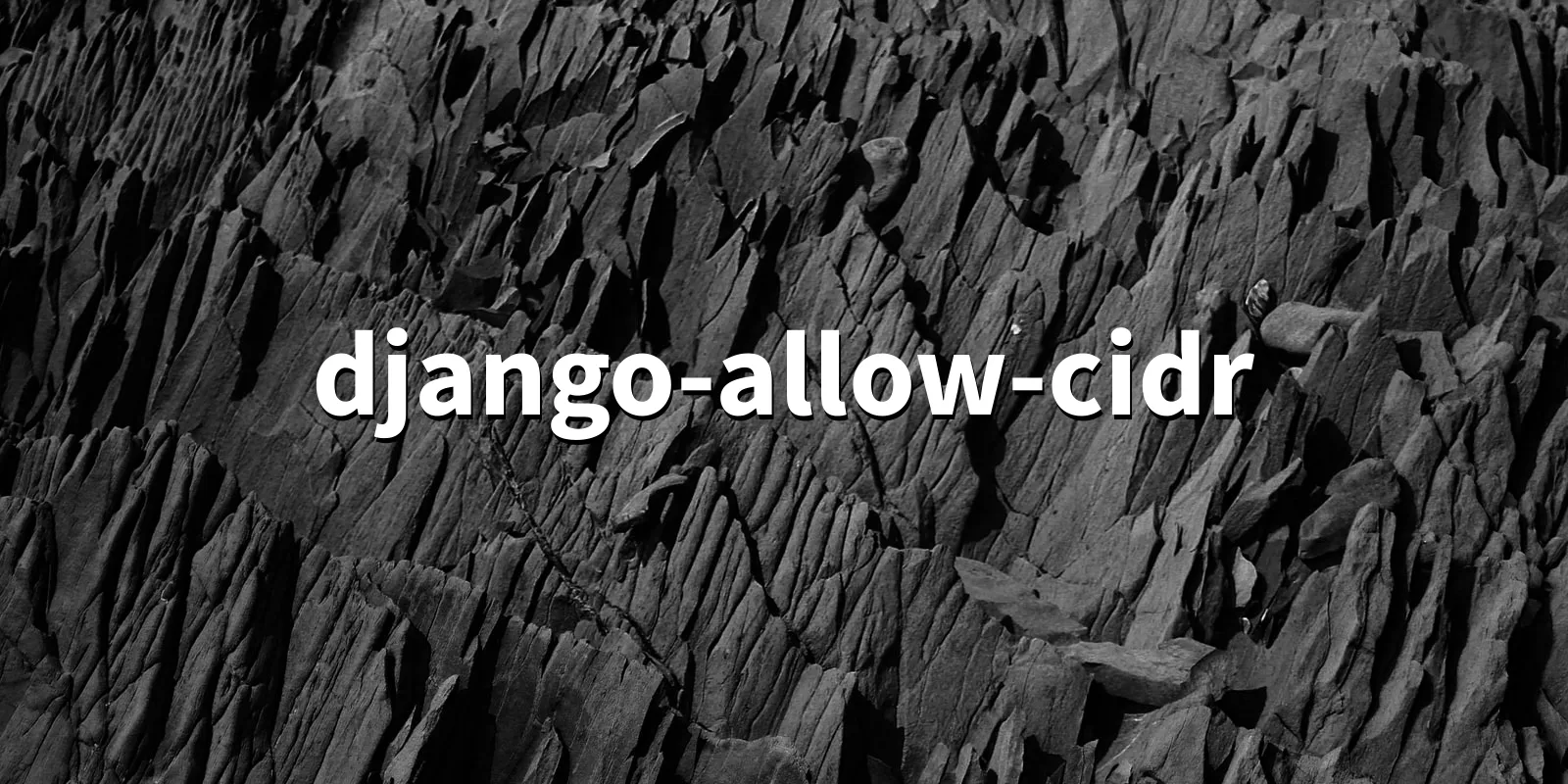 /pkg/d/django-allow-cidr/django-allow-cidr-banner.webp