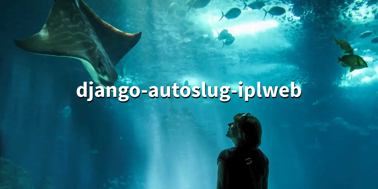 /pkg/d/django-autoslug-iplweb/django-autoslug-iplweb-banner.webp
