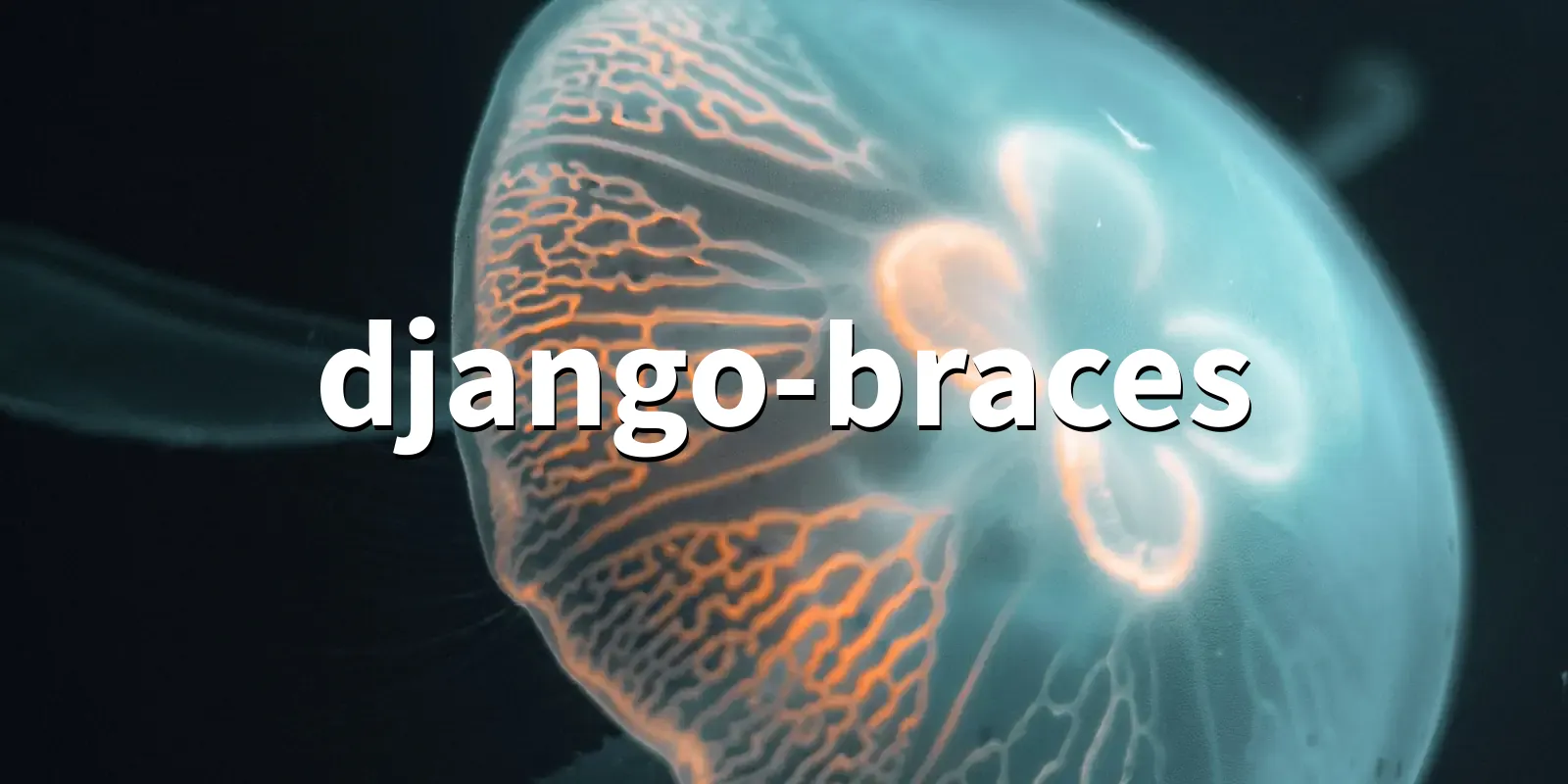 /pkg/d/django-braces/django-braces-banner.webp