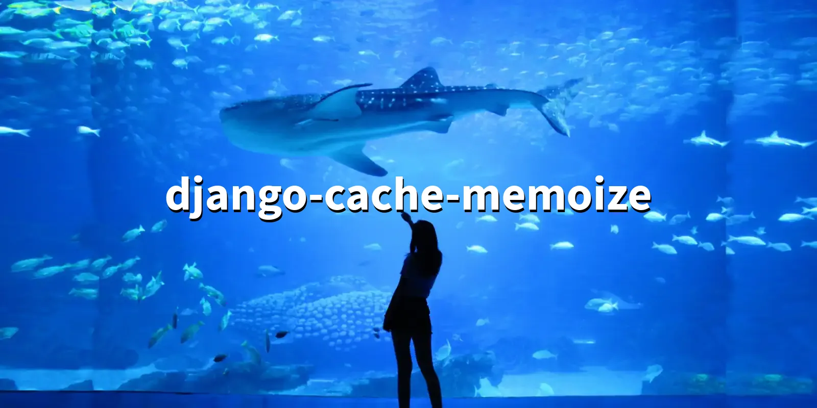 /pkg/d/django-cache-memoize/django-cache-memoize-banner.webp