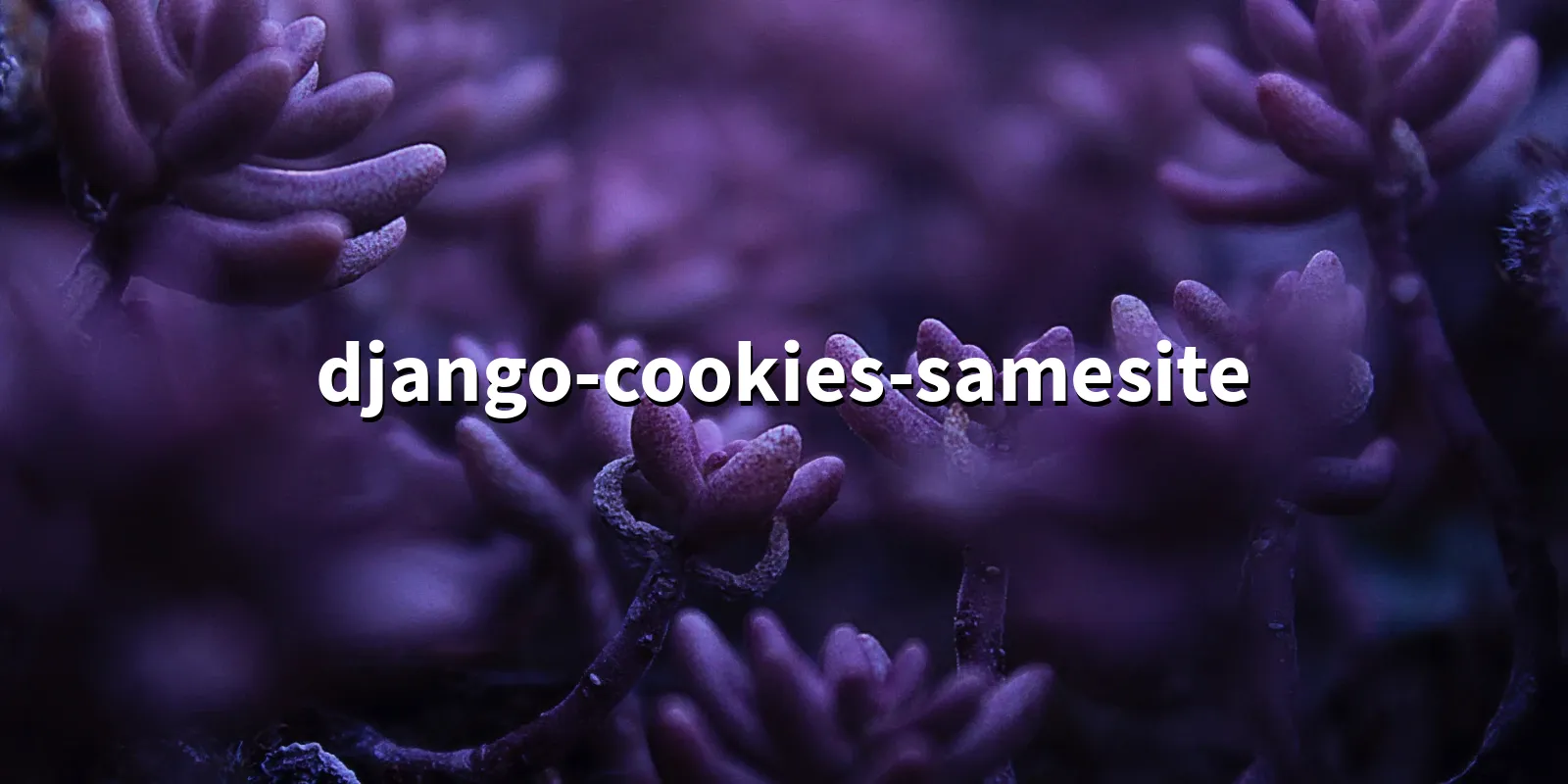 /pkg/d/django-cookies-samesite/django-cookies-samesite-banner.webp