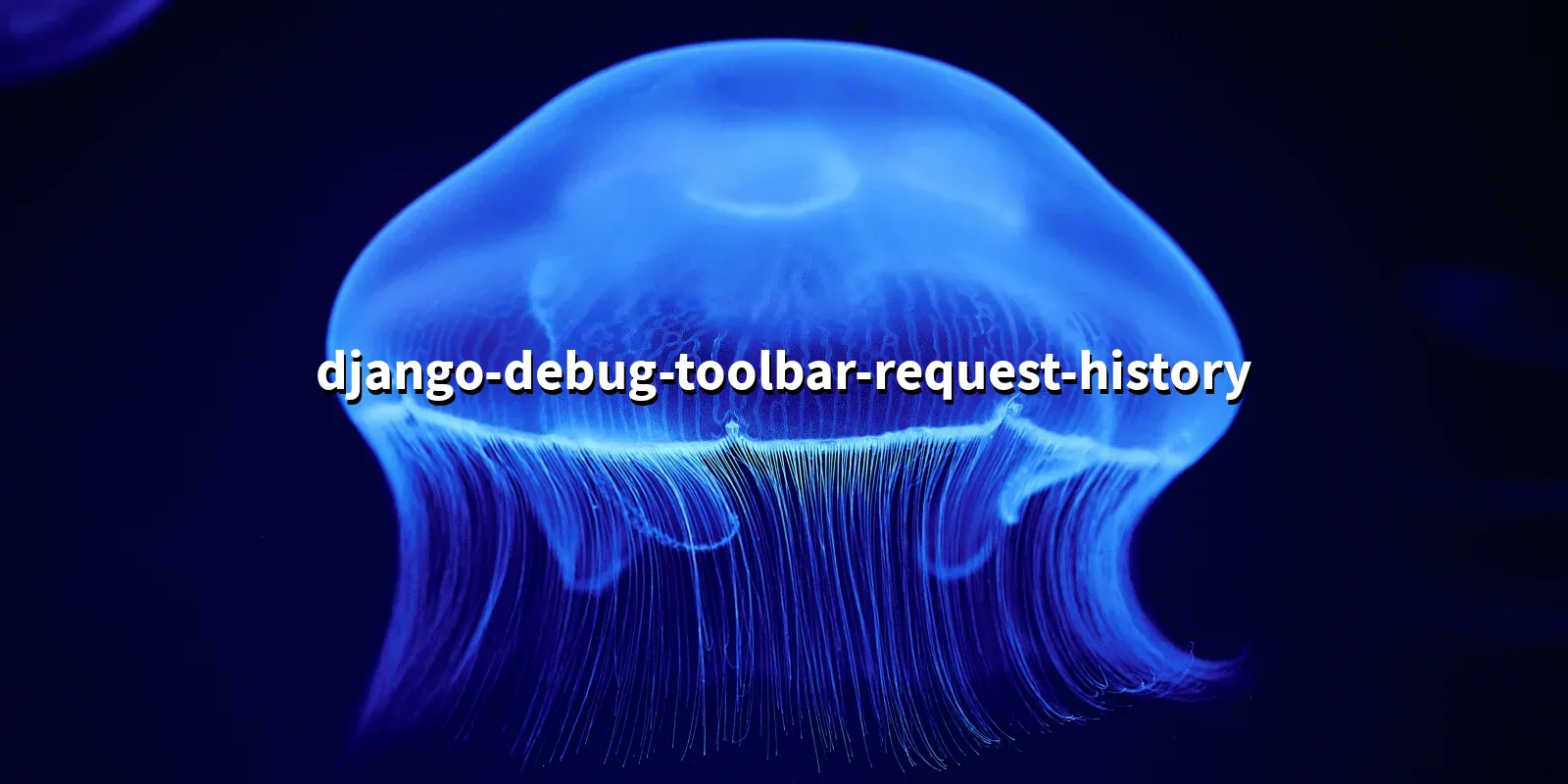 /pkg/d/django-debug-toolbar-request-history/django-debug-toolbar-request-history-banner.webp
