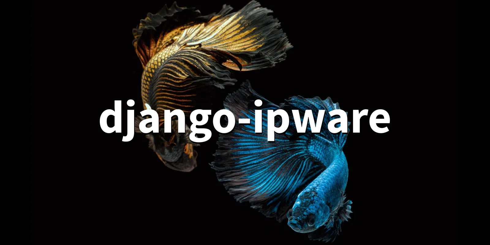 /pkg/d/django-ipware/django-ipware-banner.webp