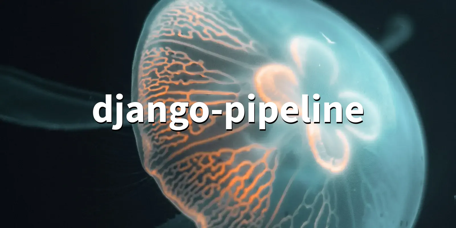 /pkg/d/django-pipeline/django-pipeline-banner.webp