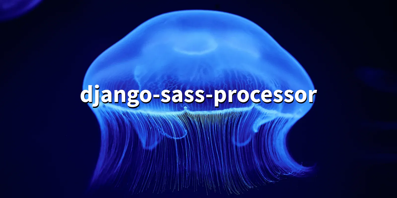 /pkg/d/django-sass-processor/django-sass-processor-banner.webp