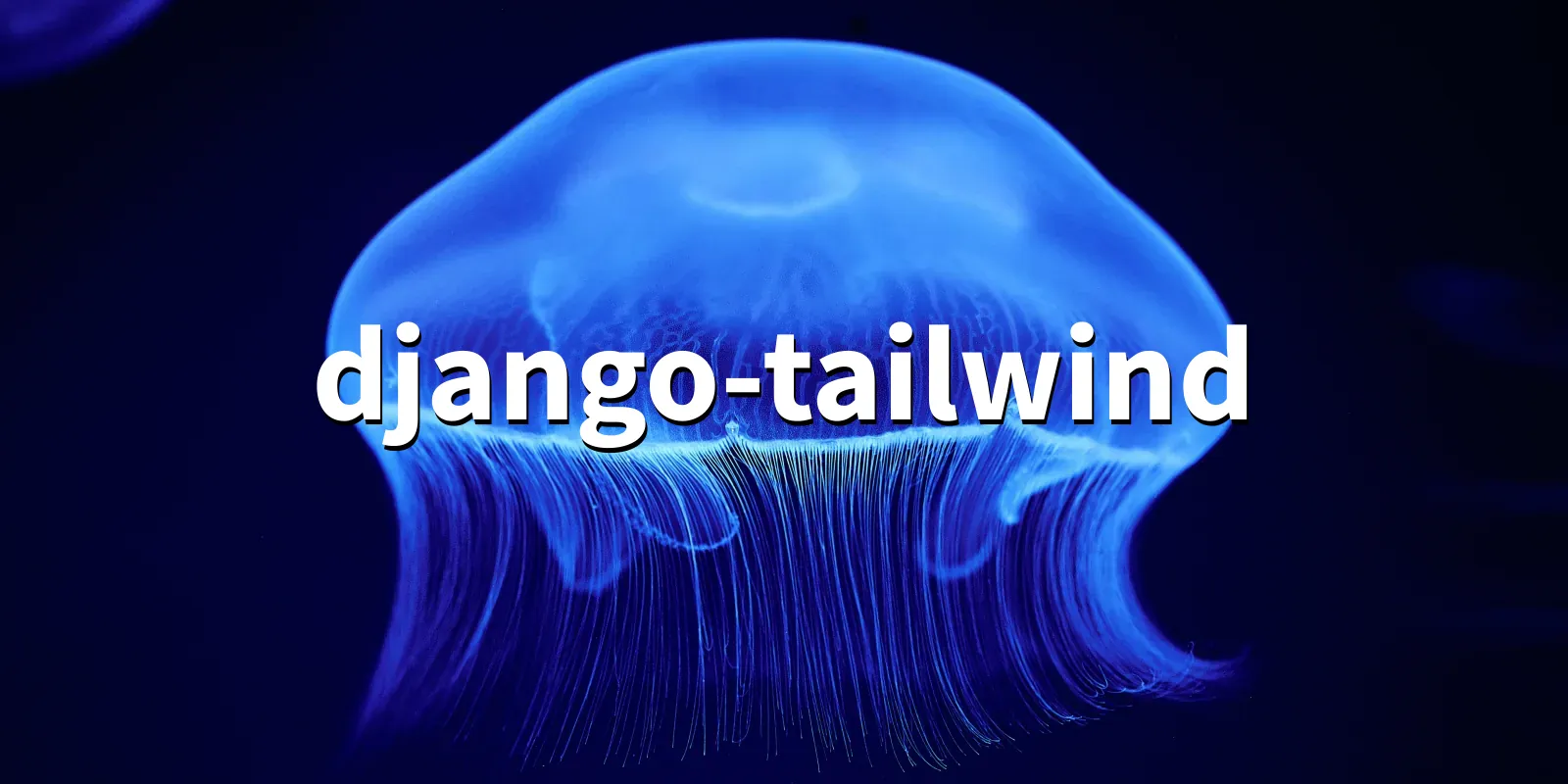 /pkg/d/django-tailwind/django-tailwind-banner.webp