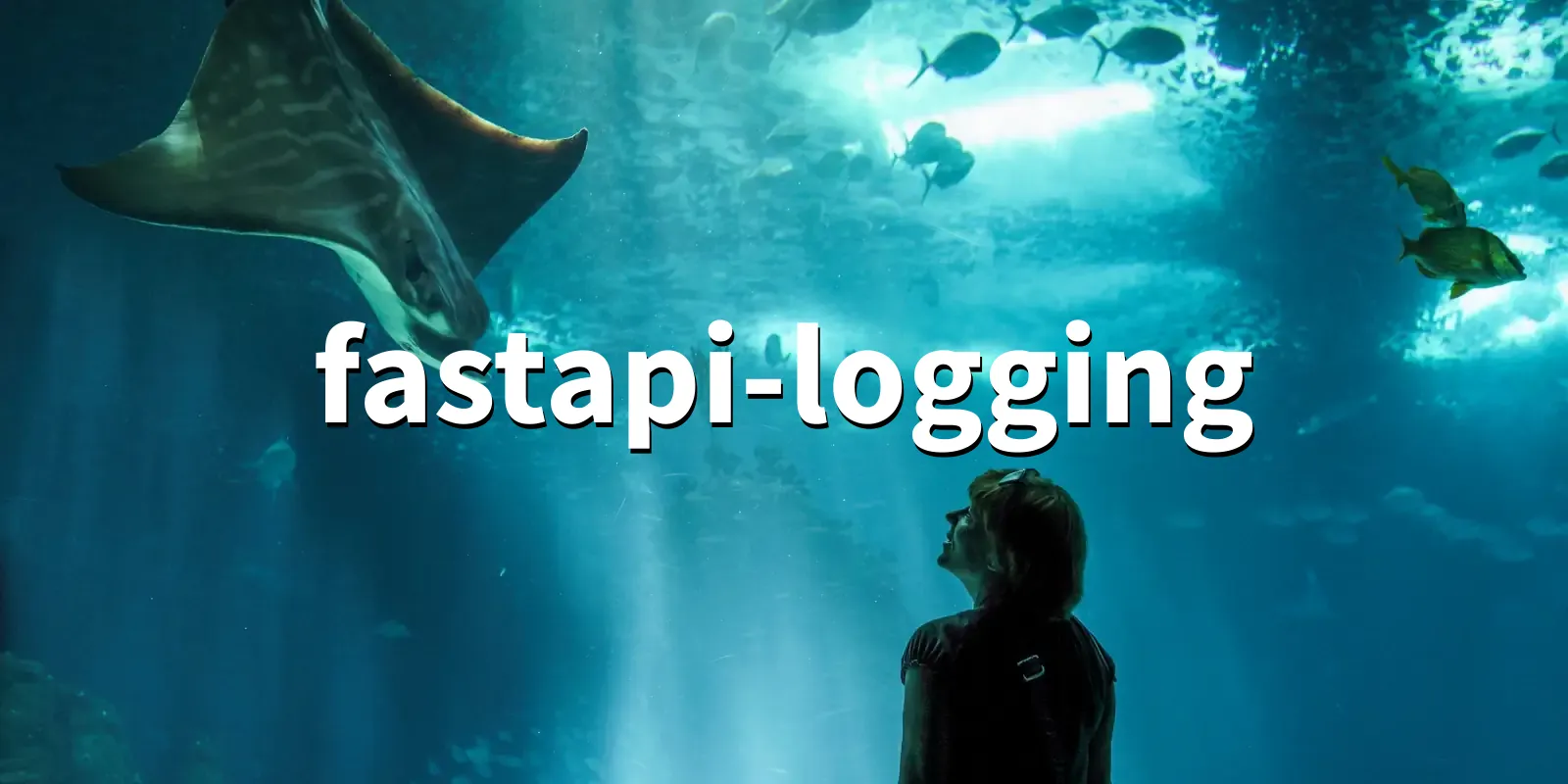 /pkg/f/fastapi-logging/fastapi-logging-banner.webp