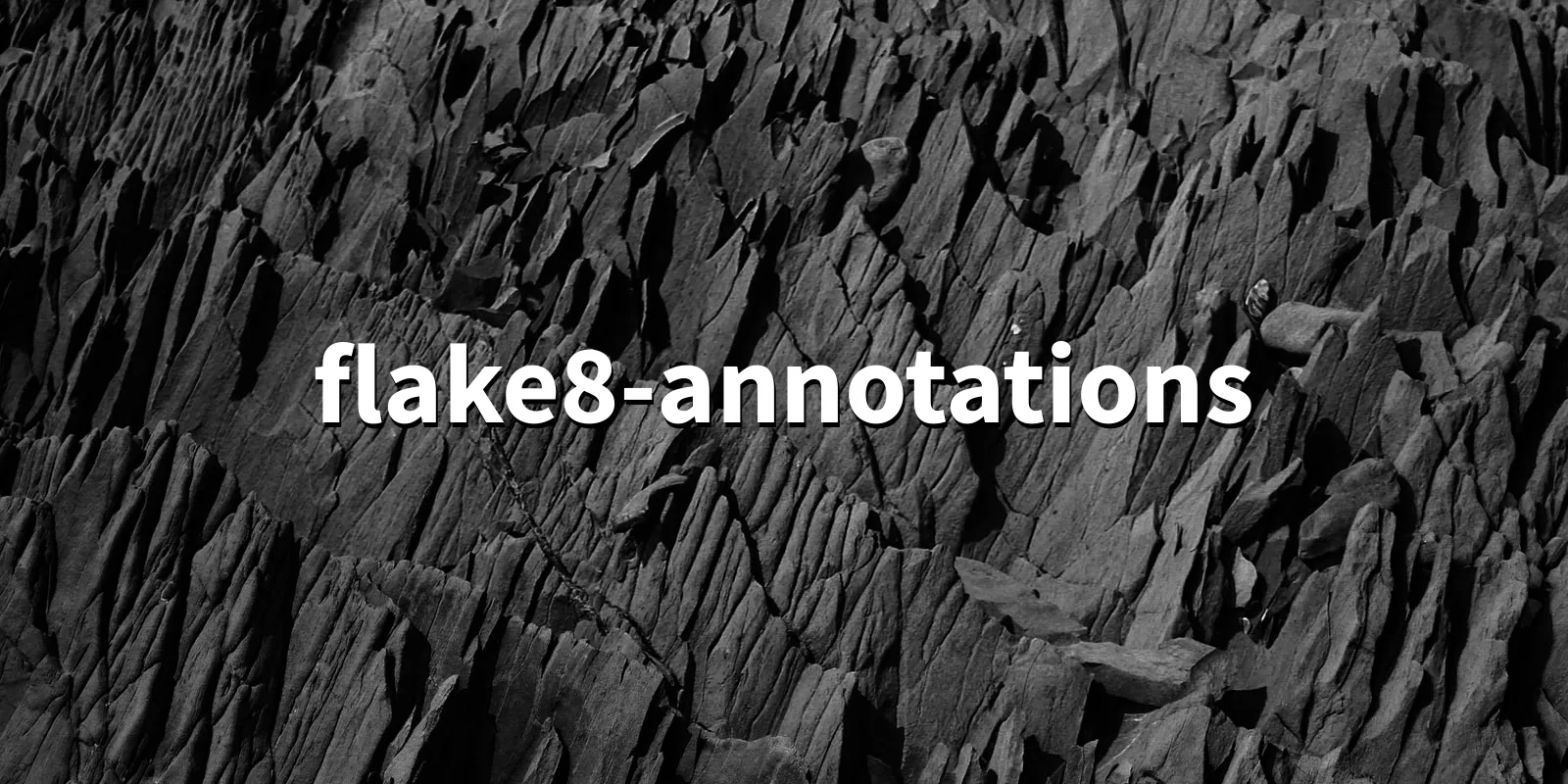 /pkg/f/flake8-annotations/flake8-annotations-banner.webp