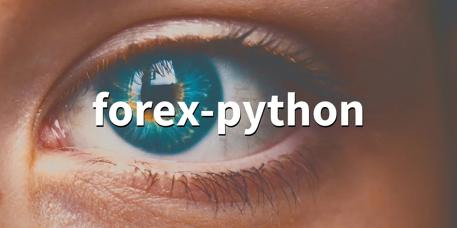 /pkg/f/forex-python/forex-python-banner.webp