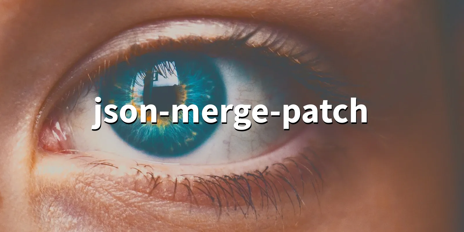 /pkg/j/json-merge-patch/json-merge-patch-banner.webp