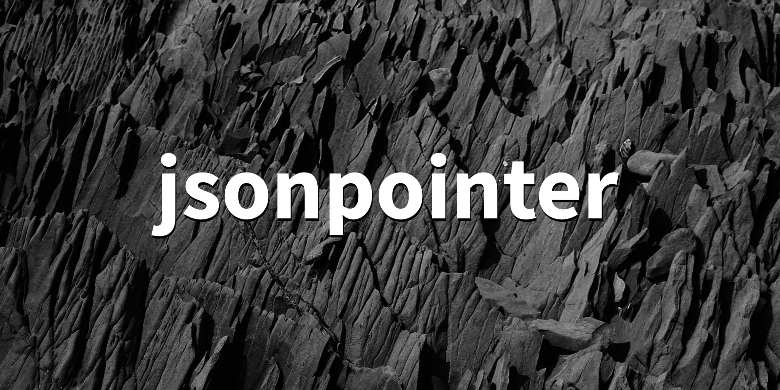 /pkg/j/jsonpointer/jsonpointer-banner.webp