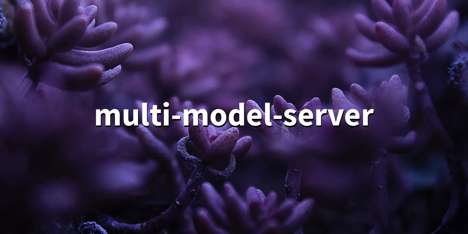 /pkg/m/multi-model-server/multi-model-server-banner.webp