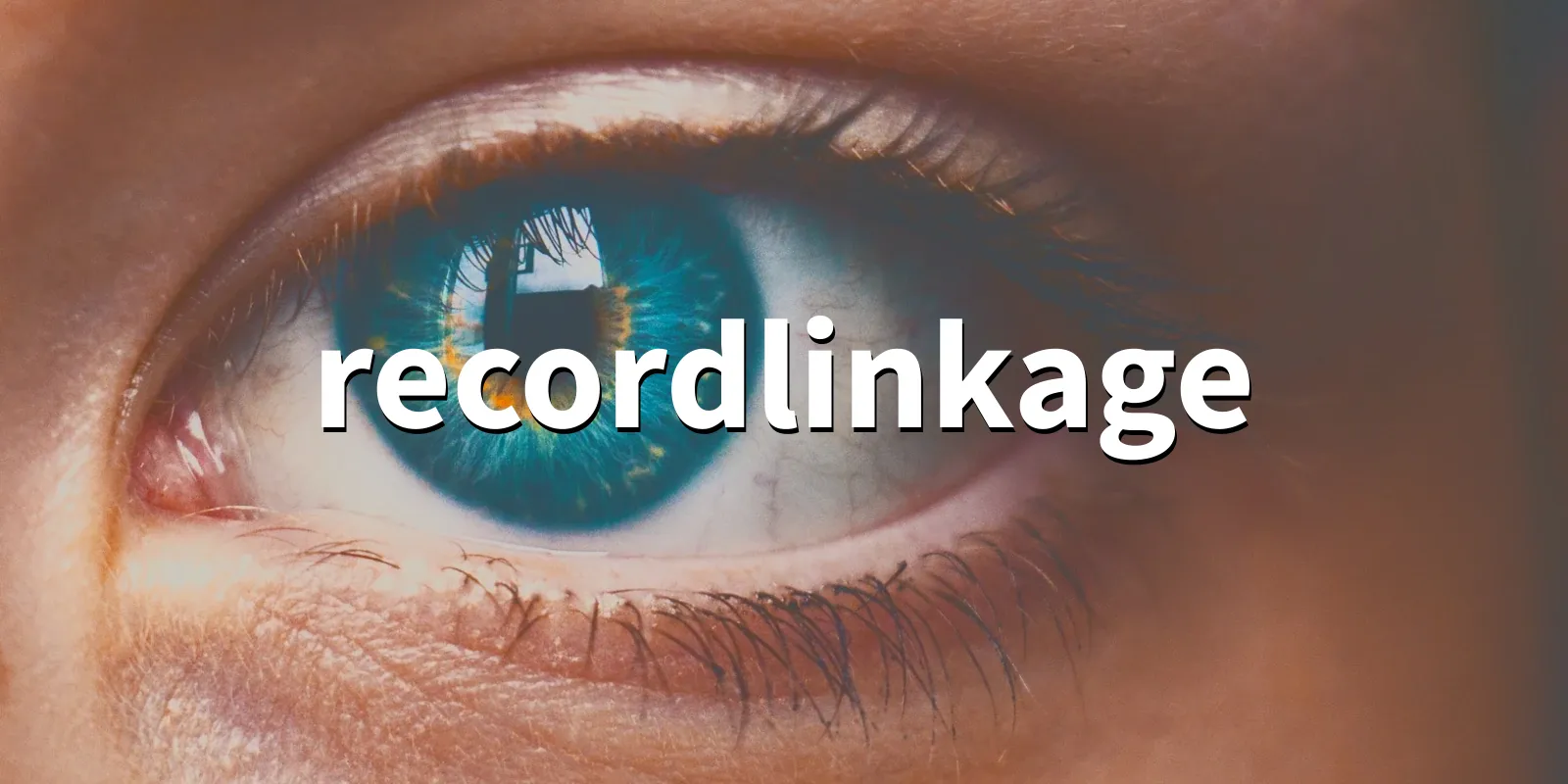 /pkg/r/recordlinkage/recordlinkage-banner.webp