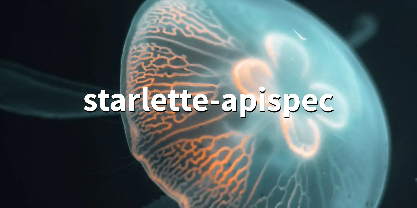 /pkg/s/starlette-apispec/starlette-apispec-banner.webp