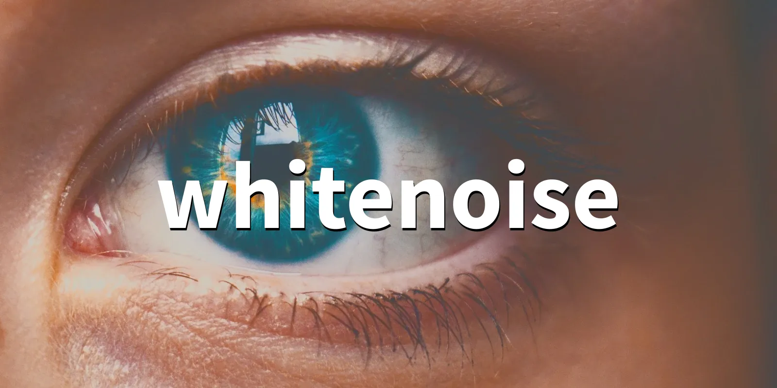 /pkg/w/whitenoise/whitenoise-banner.webp