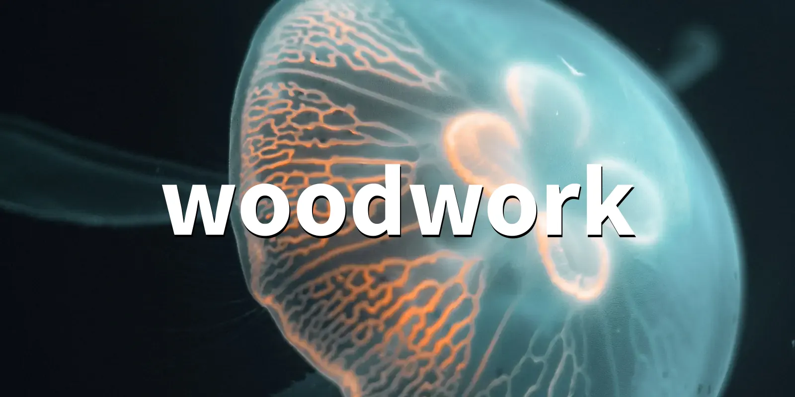 /pkg/w/woodwork/woodwork-banner.webp