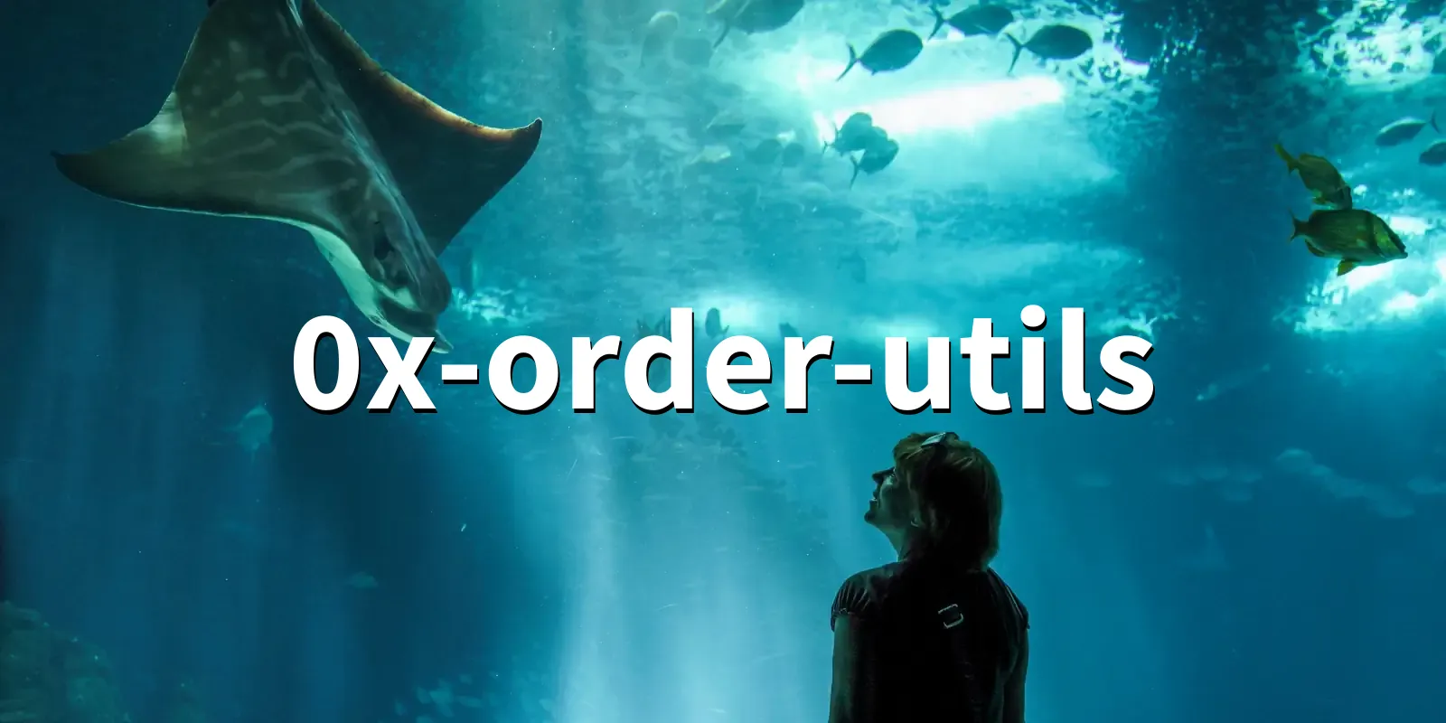 /pkg/0/0x-order-utils/0x-order-utils-banner.webp