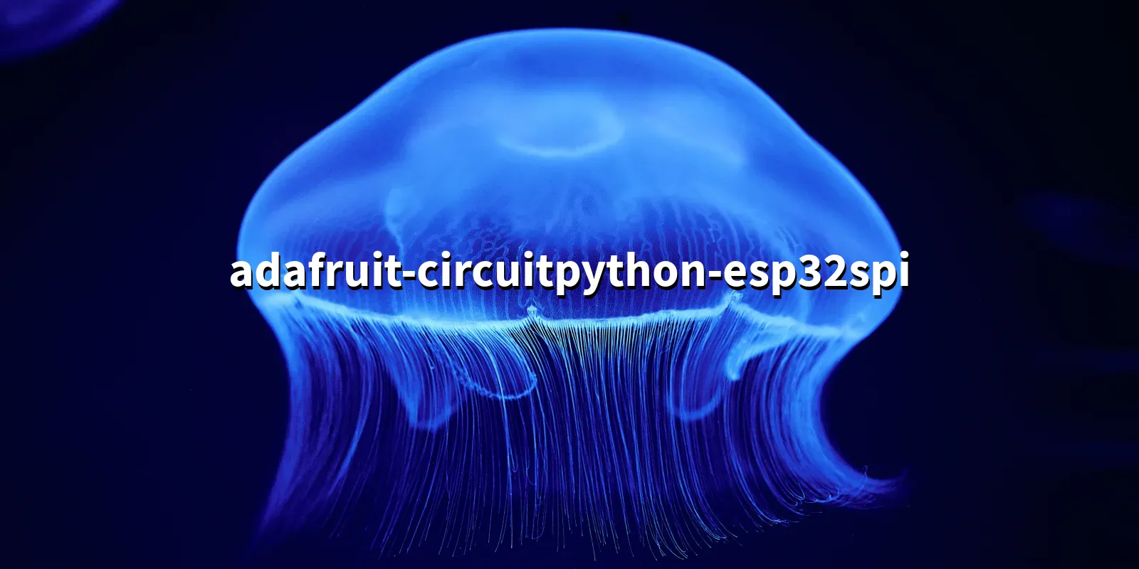 /pkg/a/adafruit-circuitpython-esp32spi/adafruit-circuitpython-esp32spi-banner.webp