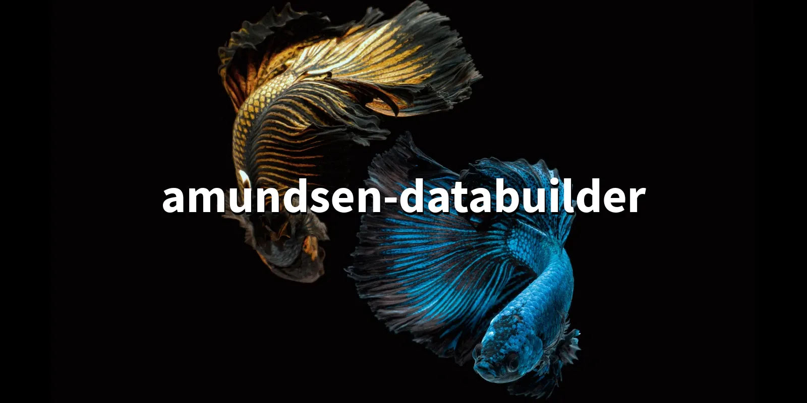 /pkg/a/amundsen-databuilder/amundsen-databuilder-banner.webp