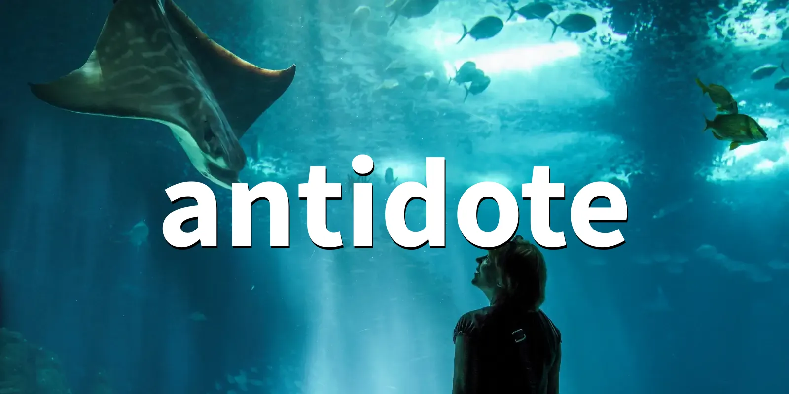 /pkg/a/antidote/antidote-banner.webp