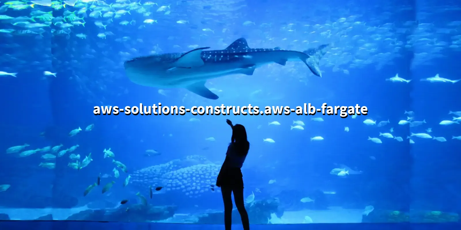 /pkg/a/aws-solutions-constructs/aws-solutions-constructs.aws-alb-fargate-banner.webp