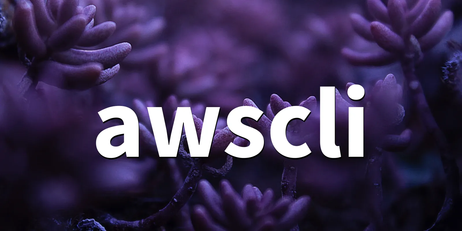 /pkg/a/awscli/awscli-banner.webp