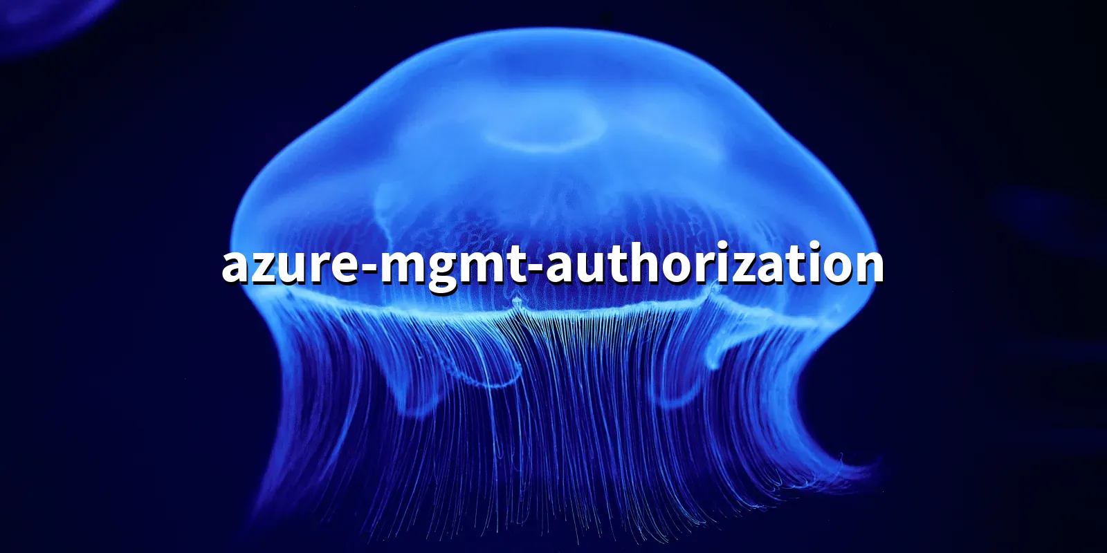 /pkg/a/azure-mgmt-authorization/azure-mgmt-authorization-banner.webp