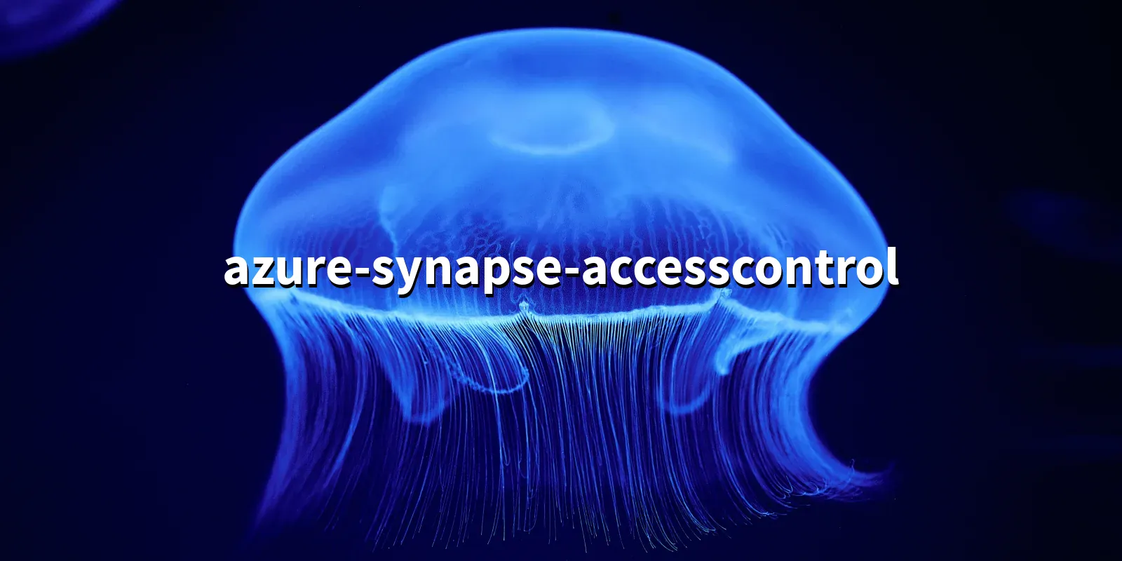 /pkg/a/azure-synapse-accesscontrol/azure-synapse-accesscontrol-banner.webp