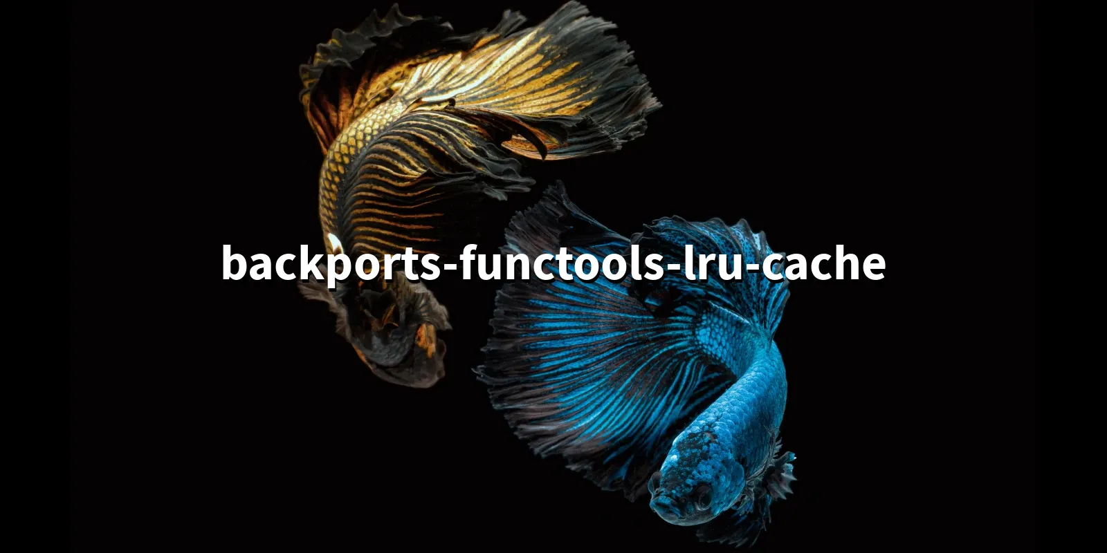 /pkg/b/backports-functools-lru-cache/backports-functools-lru-cache-banner.webp