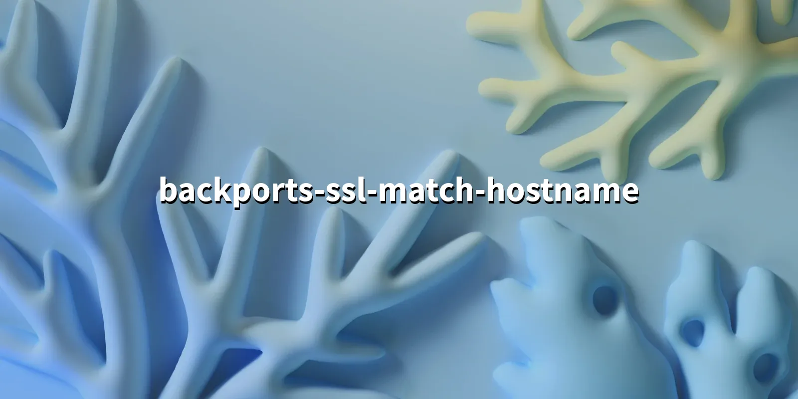 /pkg/b/backports-ssl-match-hostname/backports-ssl-match-hostname-banner.webp