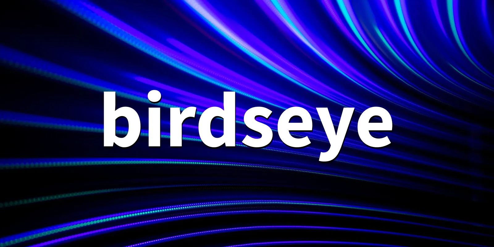 /pkg/b/birdseye/birdseye-banner.webp