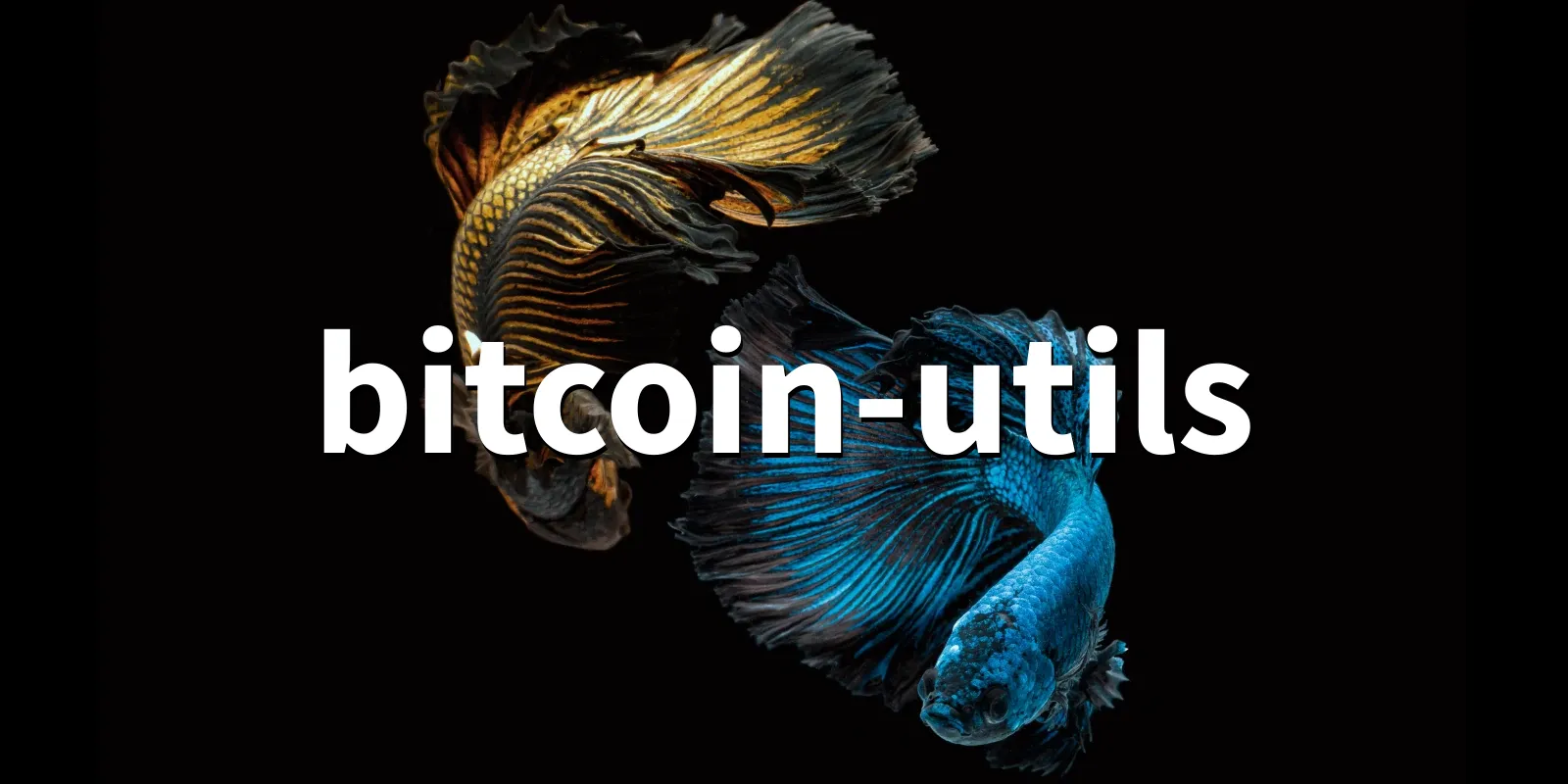 /pkg/b/bitcoin-utils/bitcoin-utils-banner.webp