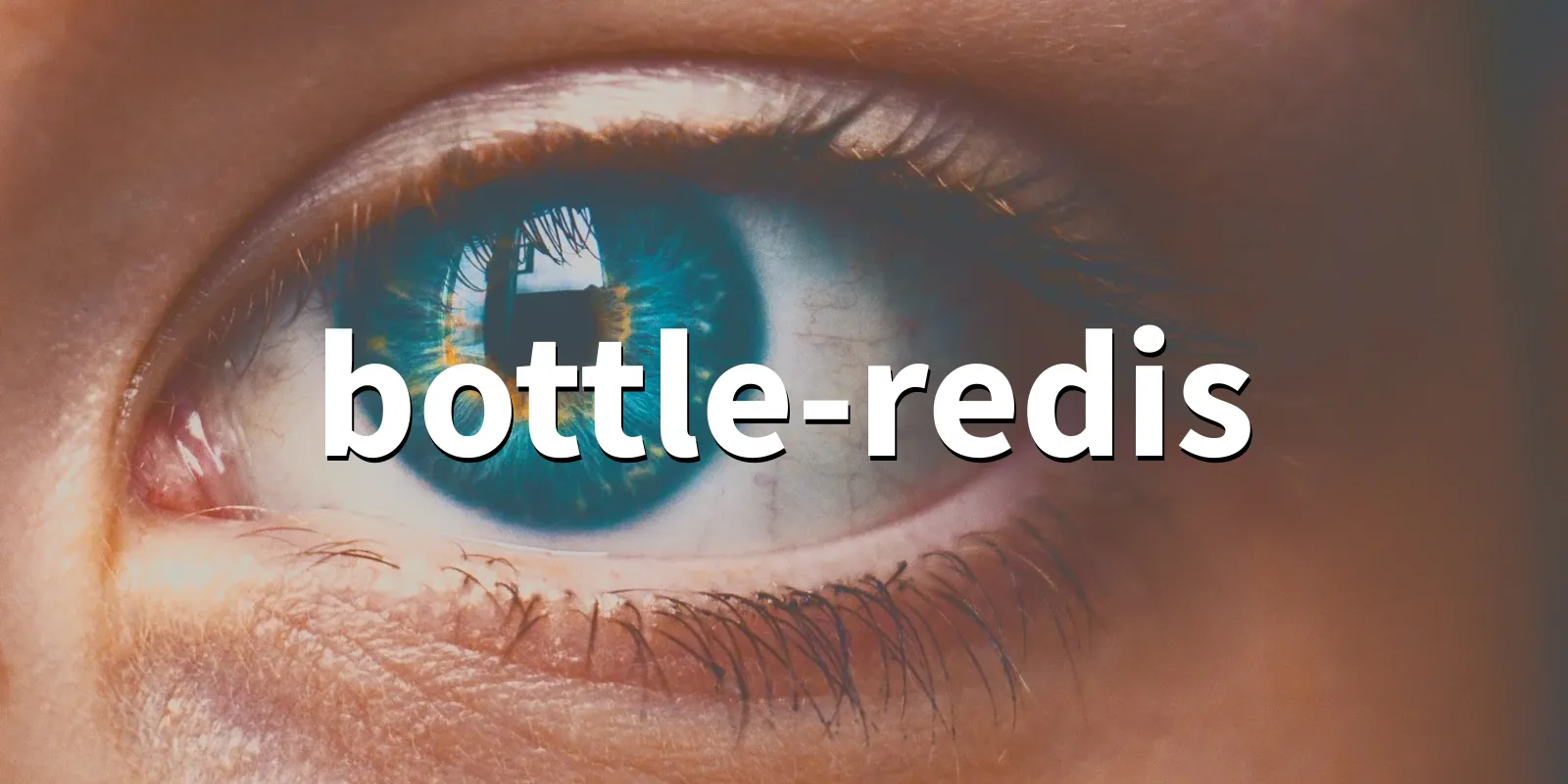 /pkg/b/bottle-redis/bottle-redis-banner.webp