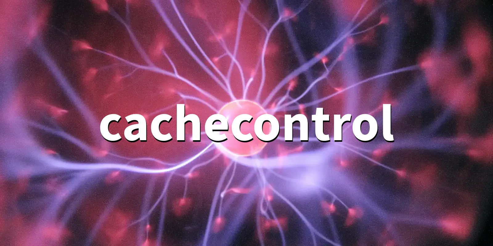 /pkg/c/cachecontrol/cachecontrol-banner.webp