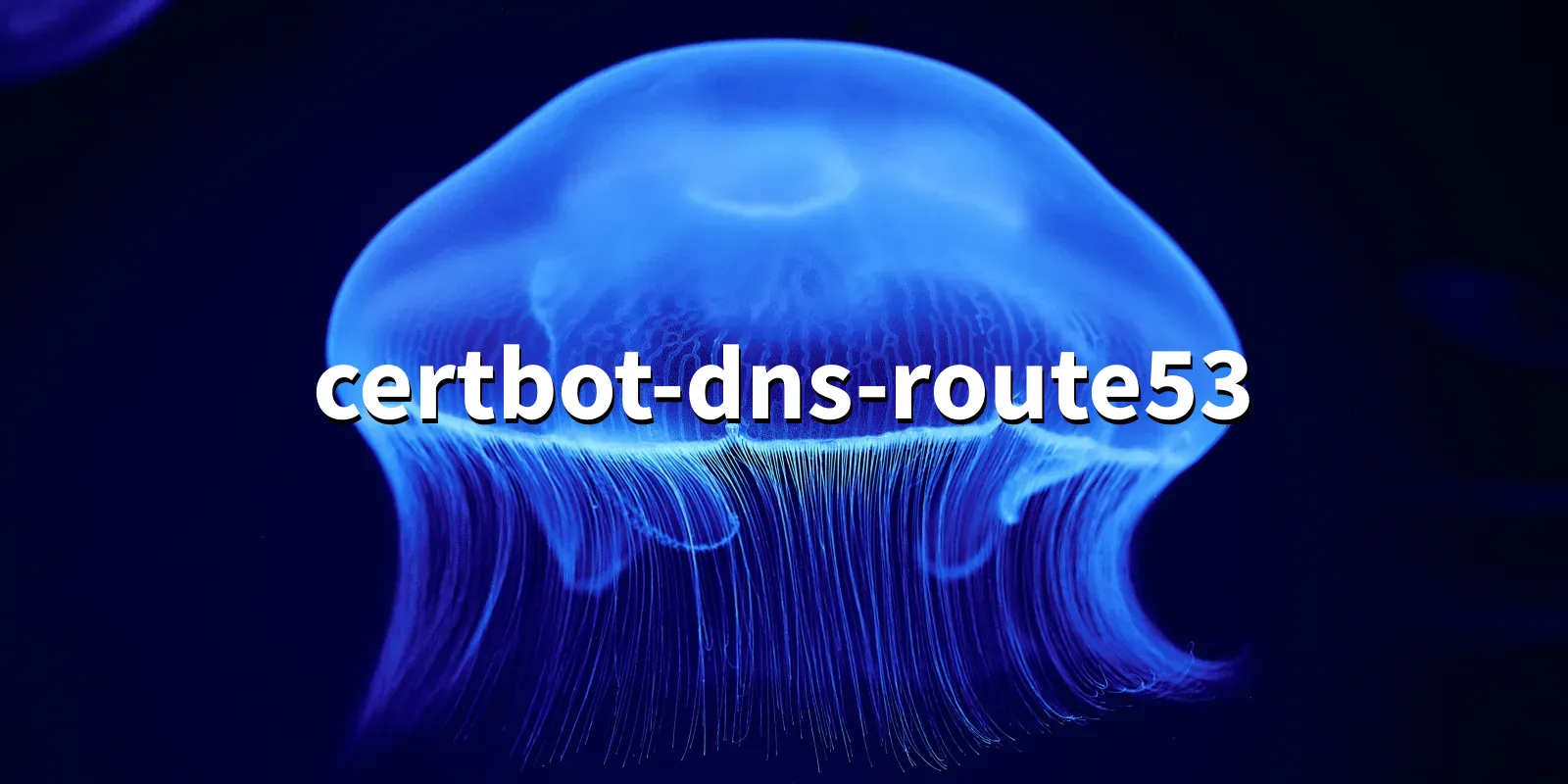 /pkg/c/certbot-dns-route53/certbot-dns-route53-banner.webp