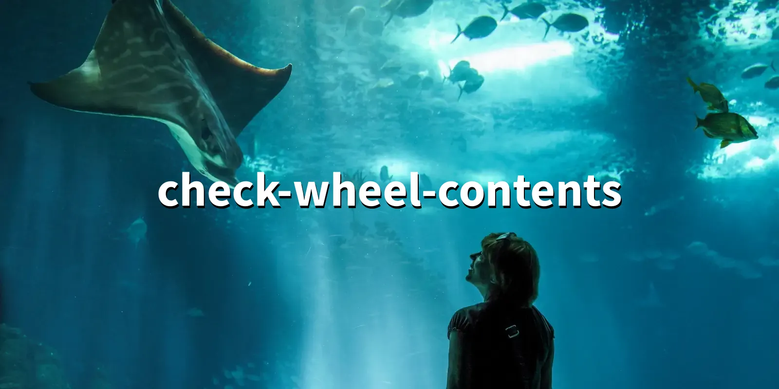/pkg/c/check-wheel-contents/check-wheel-contents-banner.webp