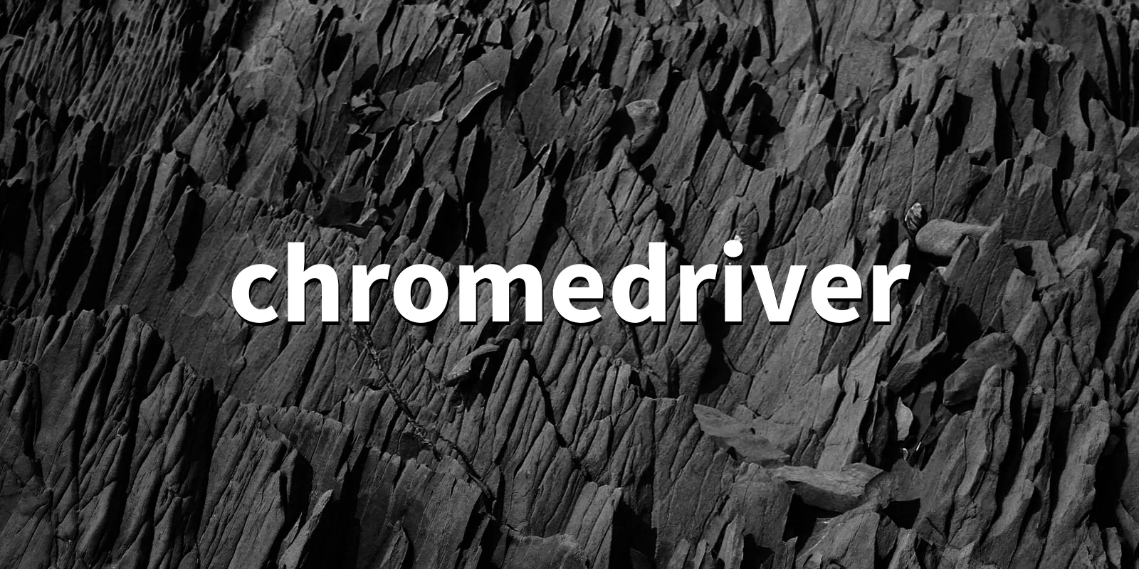 /pkg/c/chromedriver/chromedriver-banner.webp