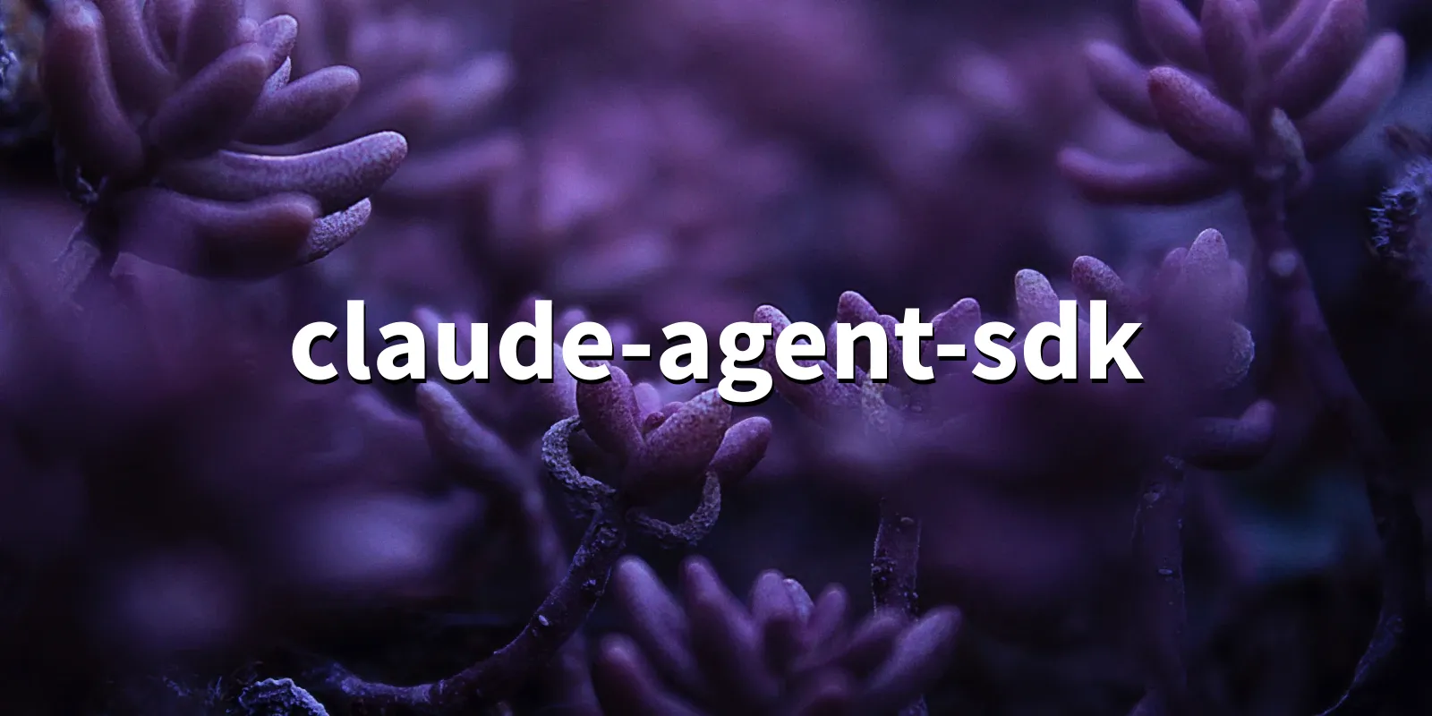 Python SDK for Claude Code /pkg/c/claude-agent-sdk/claude-agent-sdk-banner.webp
