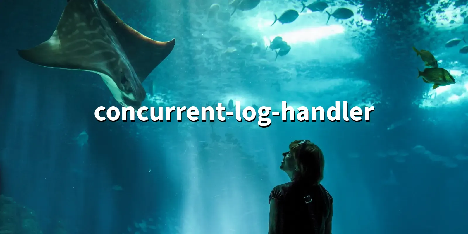 /pkg/c/concurrent-log-handler/concurrent-log-handler-banner.webp
