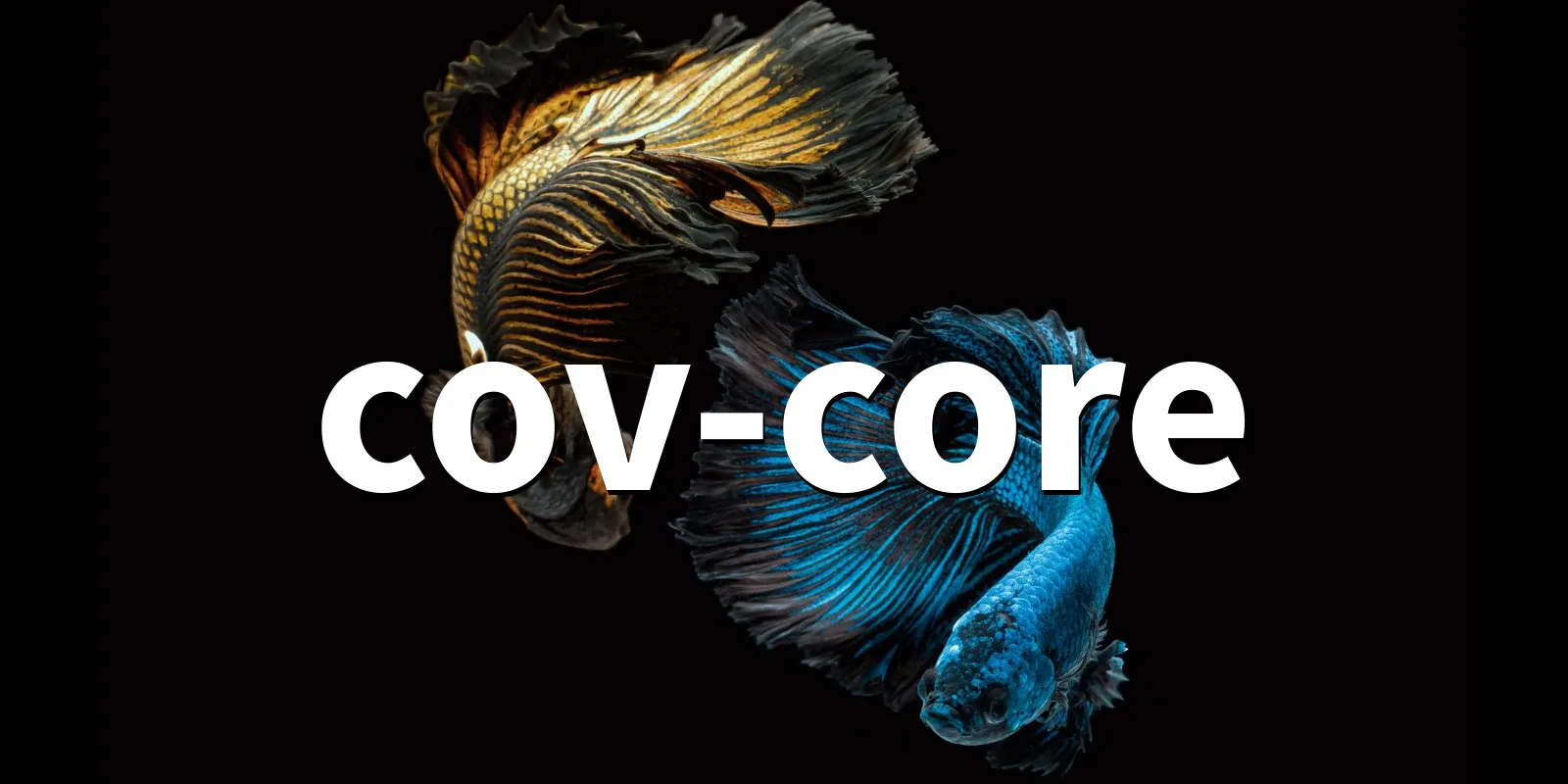 /pkg/c/cov-core/cov-core-banner.webp