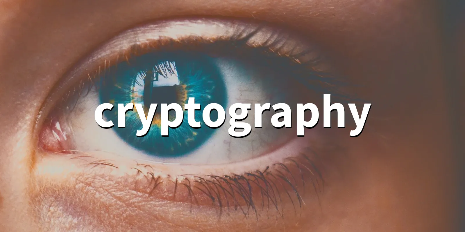 /pkg/c/cryptography/cryptography-banner.webp