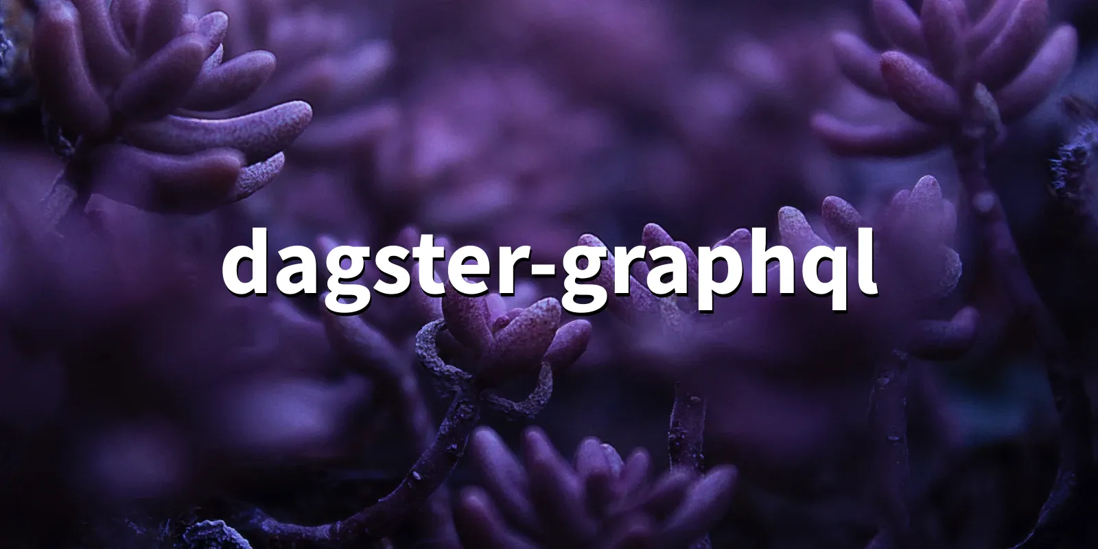 /pkg/d/dagster-graphql/dagster-graphql-banner.webp