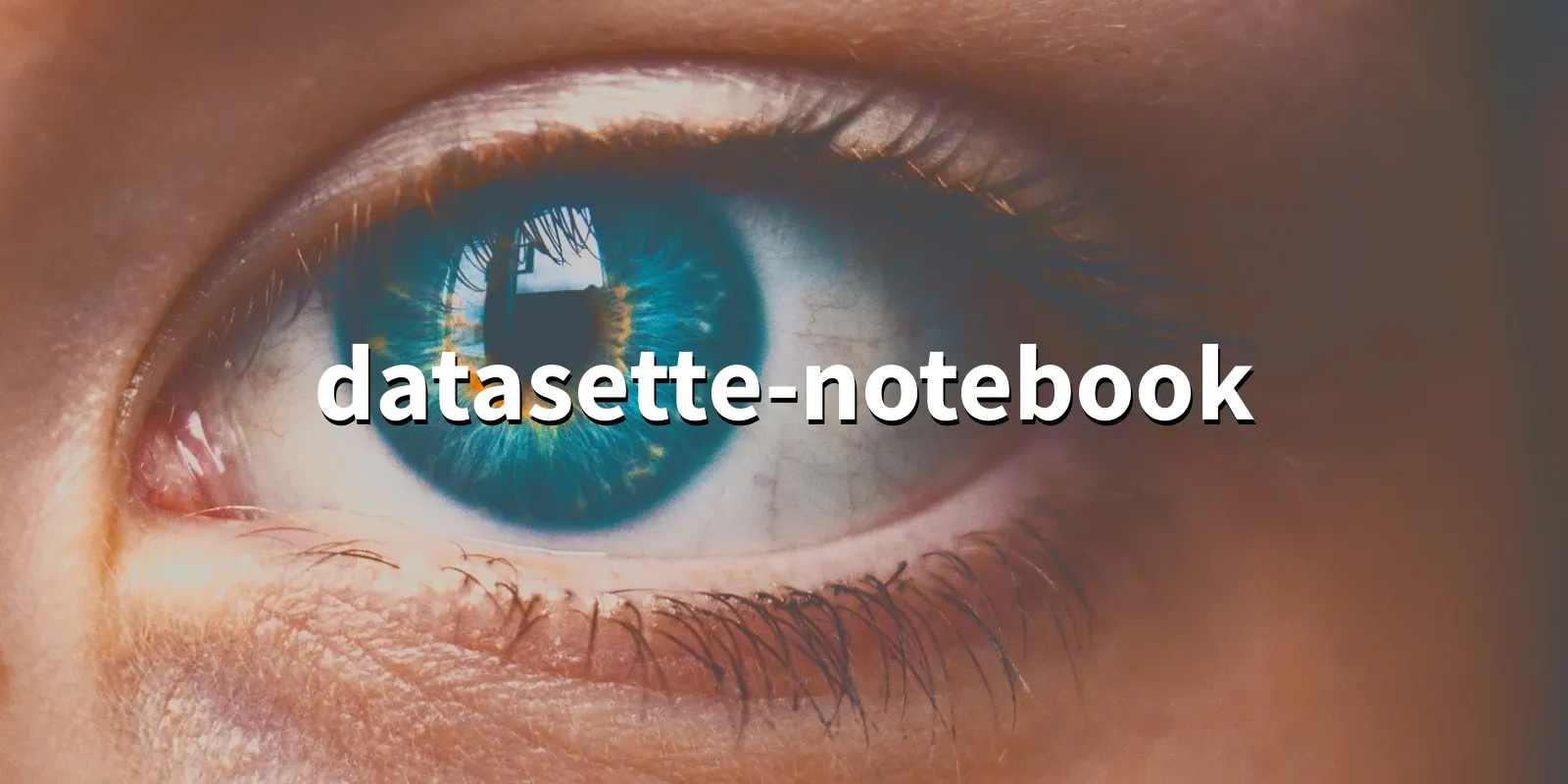 /pkg/d/datasette-notebook/datasette-notebook-banner.webp