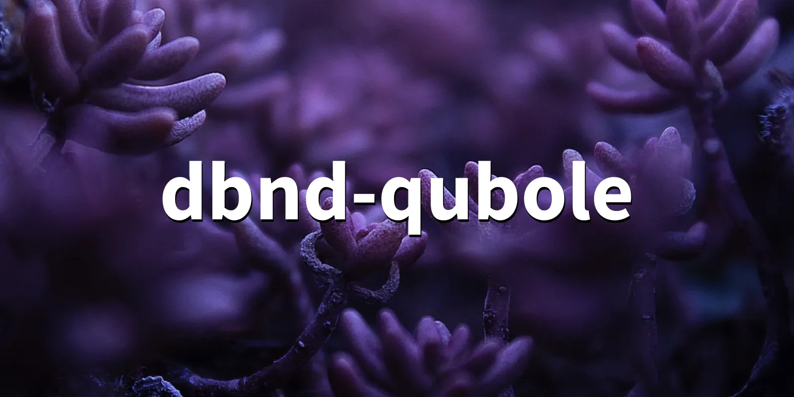 /pkg/d/dbnd-qubole/dbnd-qubole-banner.webp