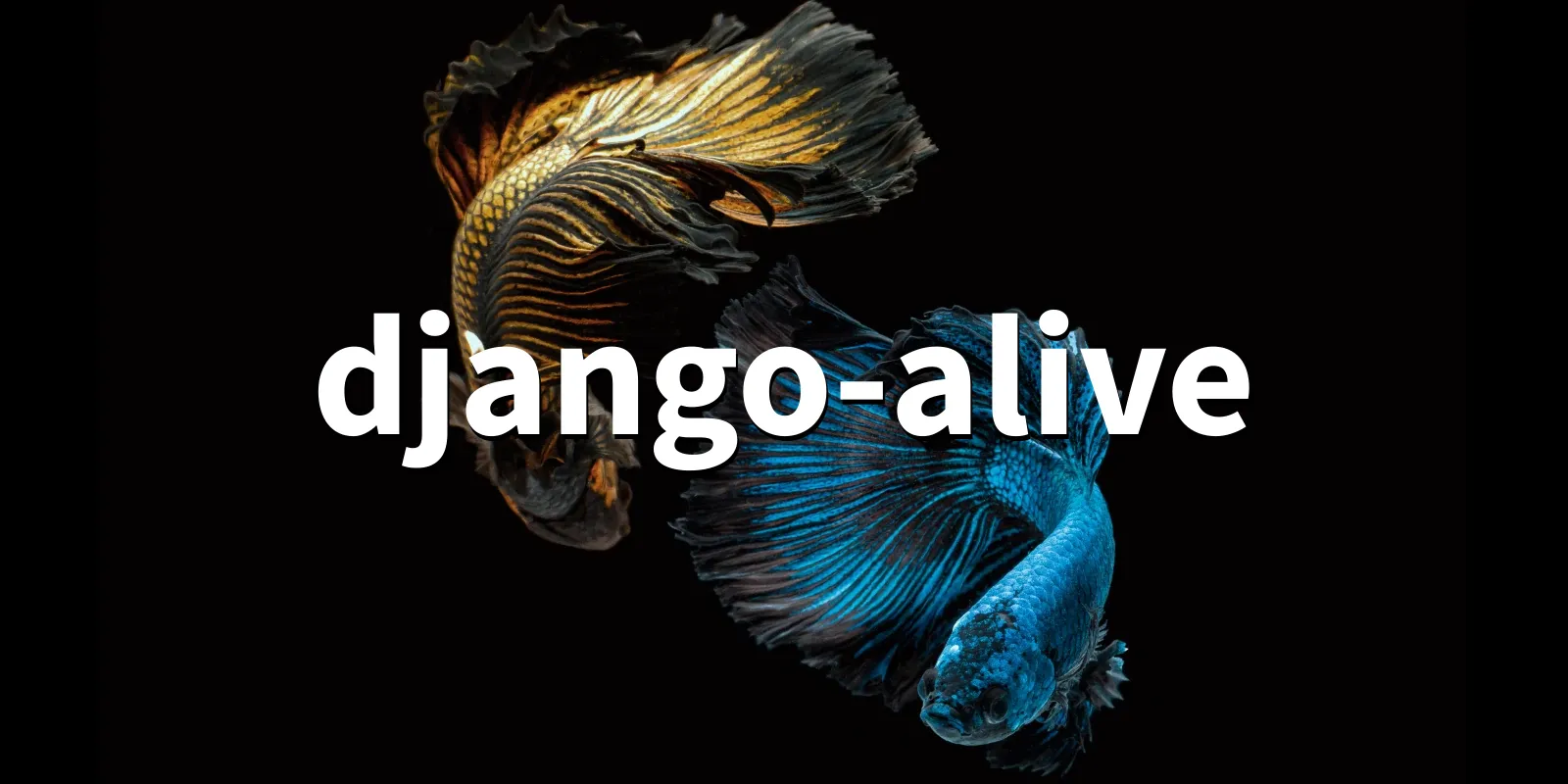 /pkg/d/django-alive/django-alive-banner.webp
