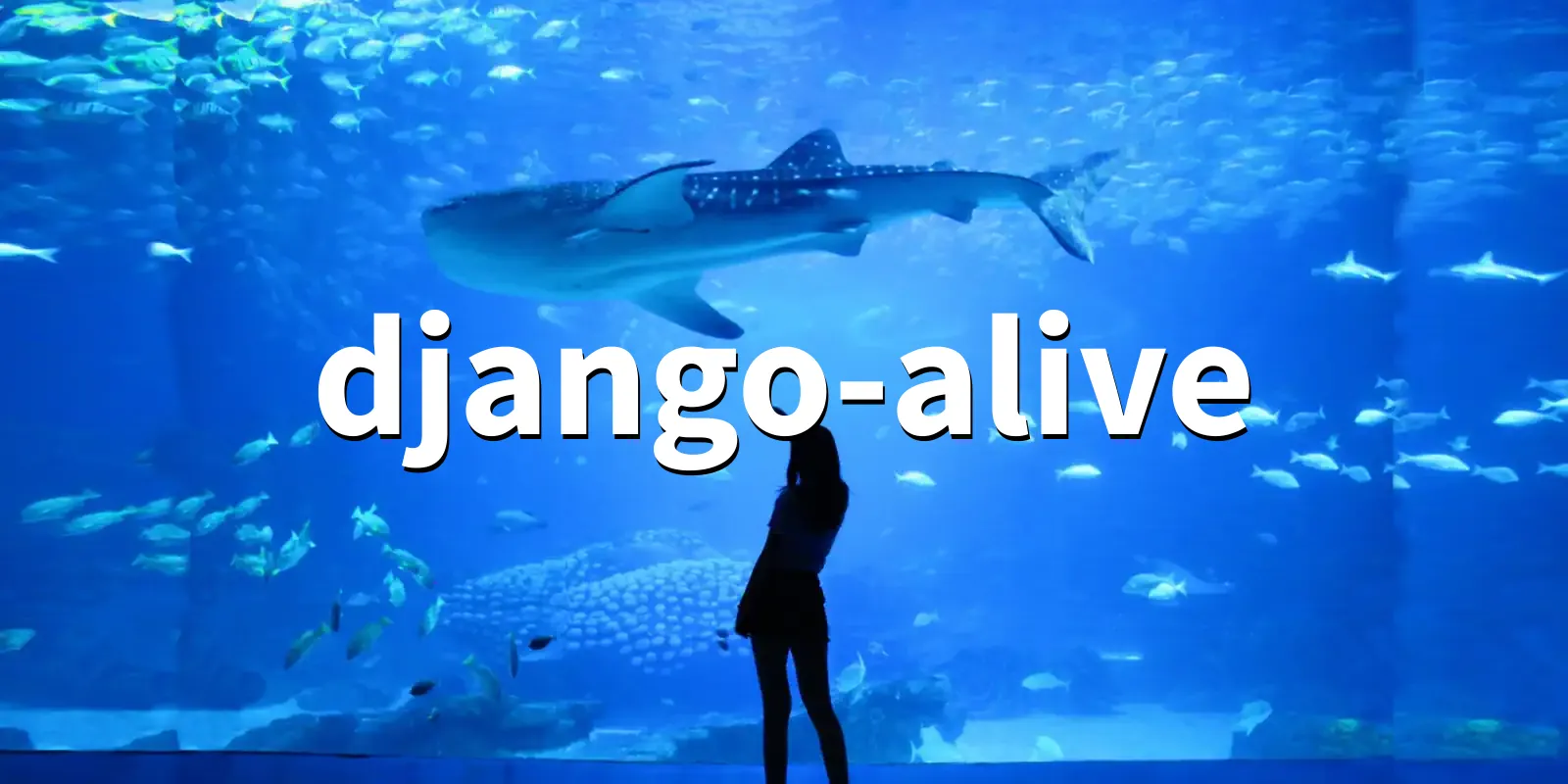 /pkg/d/django-alive/django-alive-banner.webp